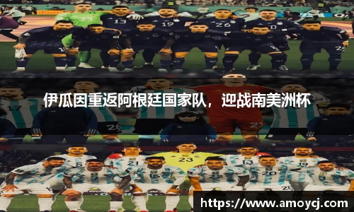 韦德bevictor