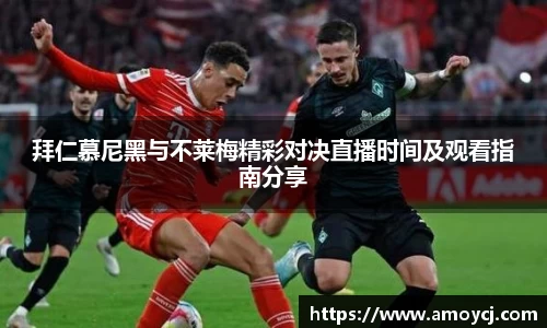 伟德bv国际体育