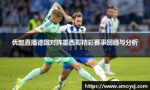 伟德bv国际体育