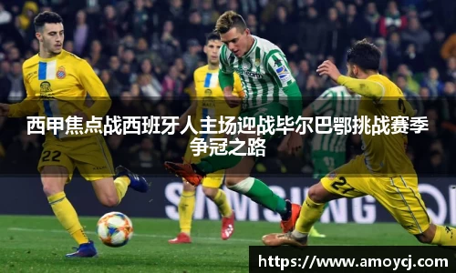 伟德bv国际体育