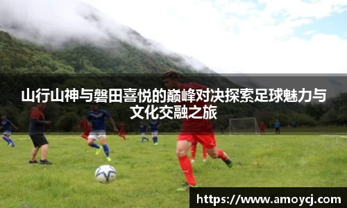 伟德bv国际体育