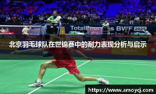 伟德bv国际体育