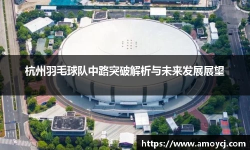 杭州羽毛球队中路突破解析与未来发展展望